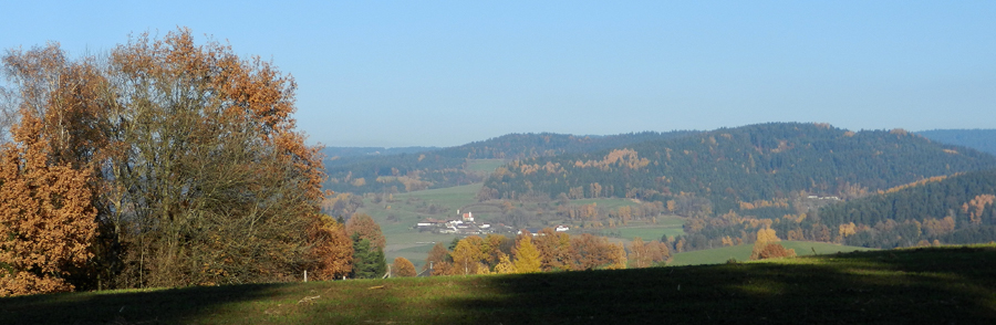 46 landasberg vom schw_dachsberg